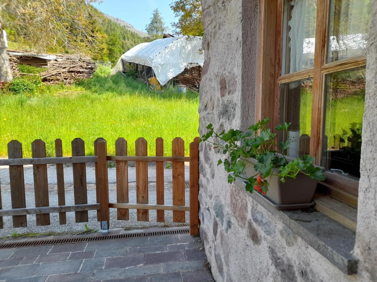 B&B Chalet Dolomiti Sant'Orsola Exterior photo